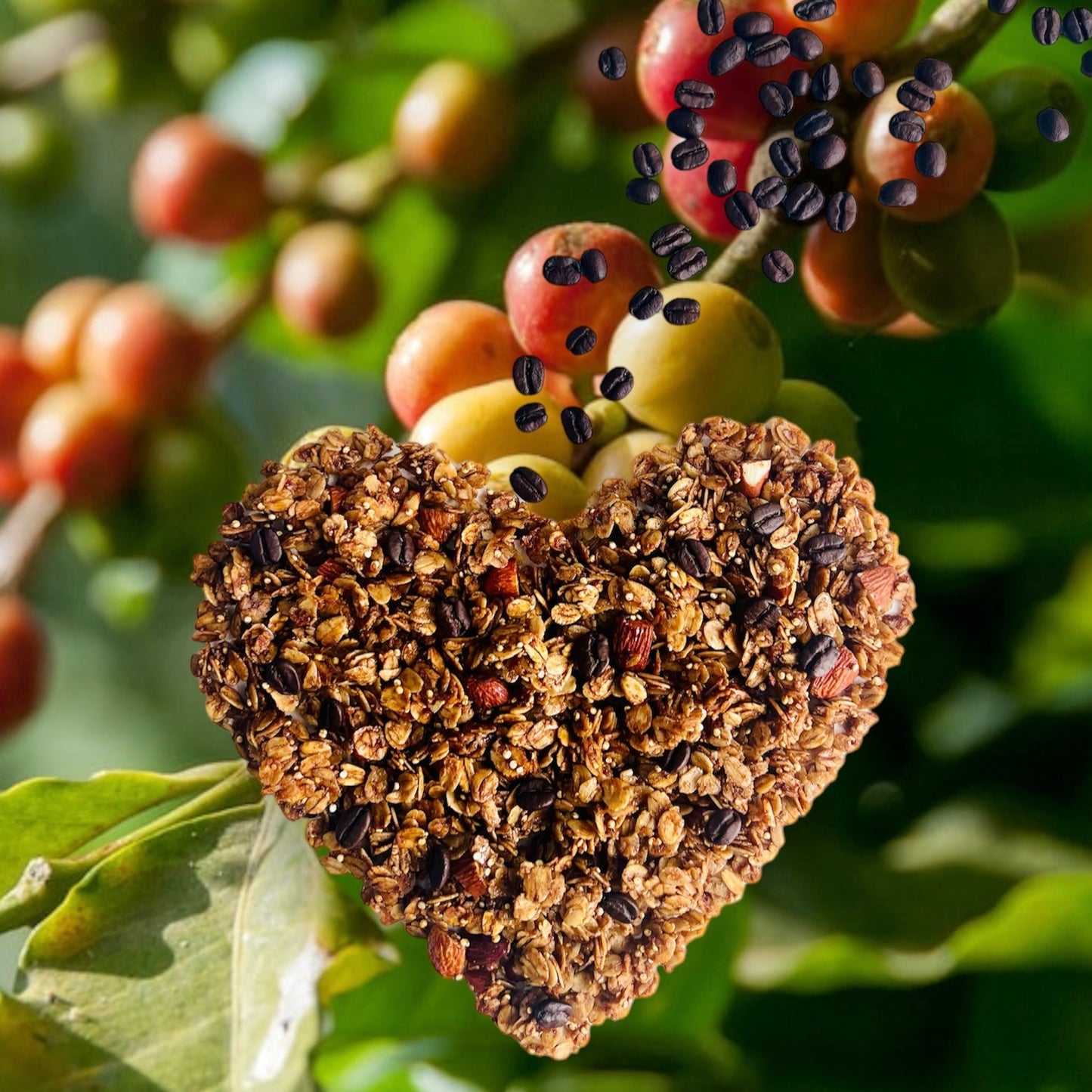 3 Bags of Coffee Crunch Handmade Granola